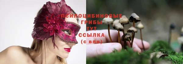 spice Алексеевка